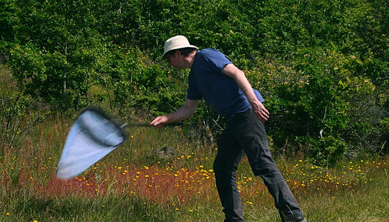 forhåndsvisning af film