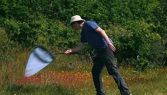 forhåndsvisning af film
