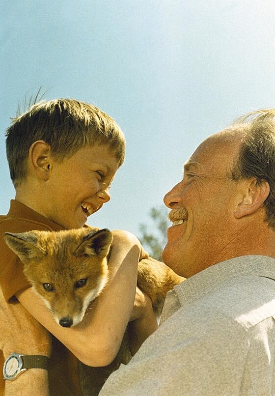 forhåndsvisning af film