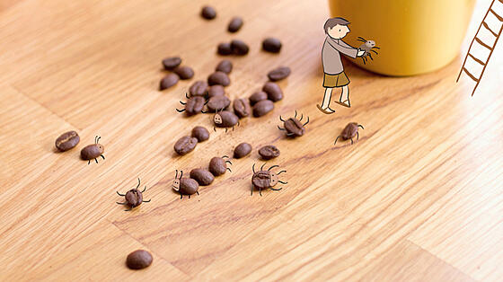 forhåndsvisning af film