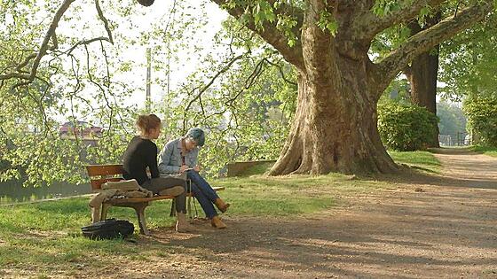 forhåndsvisning af film