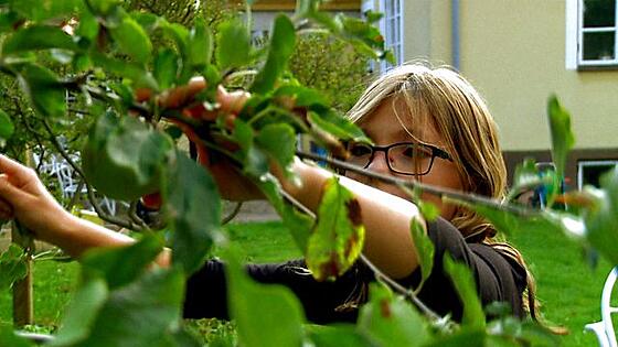 layout image (to proper size of the container)