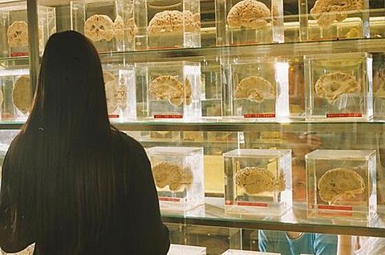 layout image (to proper size of the container)