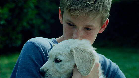 forhåndsvisning af film