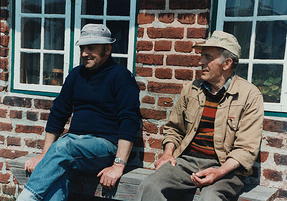 layout image (to proper size of the container)