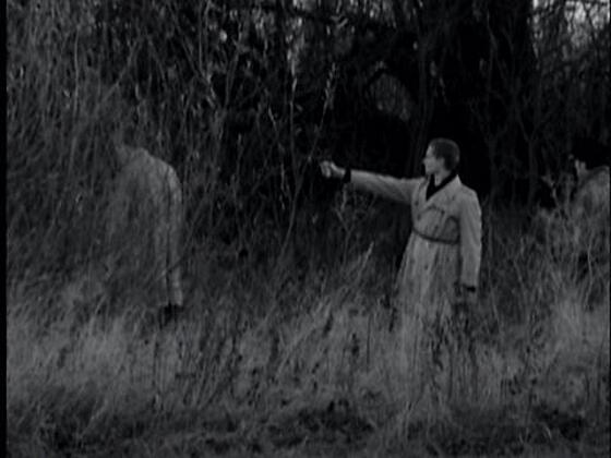 forhåndsvisning af film