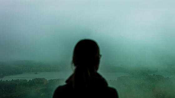 layout image (to proper size of the container)