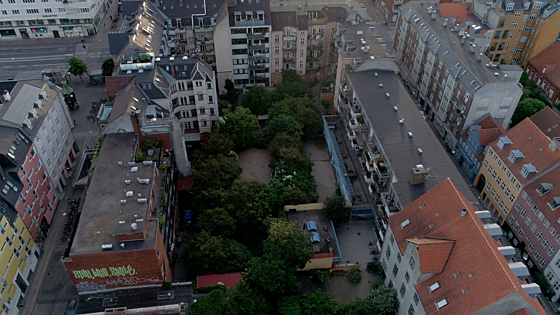 layout image (to proper size of the container)