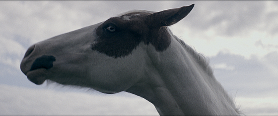 layout image (to proper size of the container)