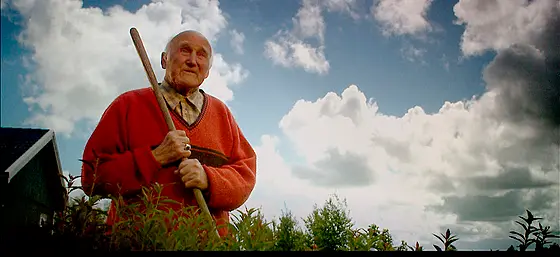 layout image (to proper size of the container)