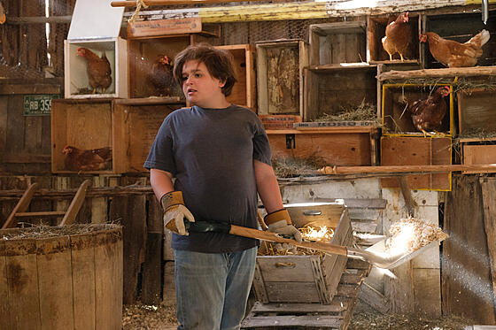 layout image (to proper size of the container)