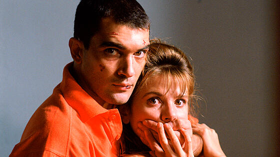 layout image (to proper size of the container)