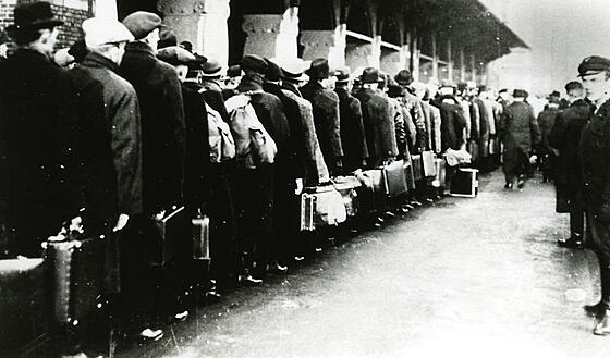 forhåndsvisning af film