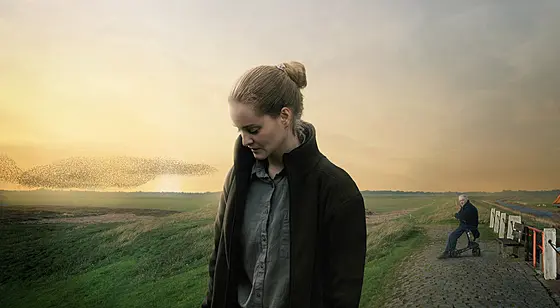 forhåndsvisning af film
