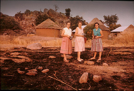 forhåndsvisning af film