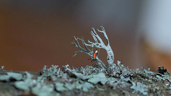 layout image (to proper size of the container)