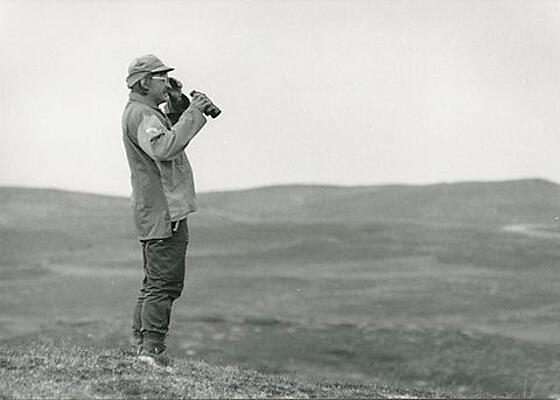 layout image (to proper size of the container)