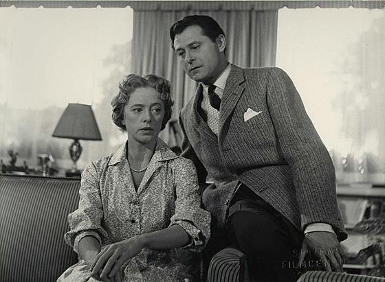 layout image (to proper size of the container)