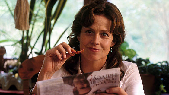 layout image (to proper size of the container)