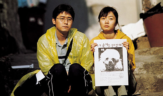 forhåndsvisning af film