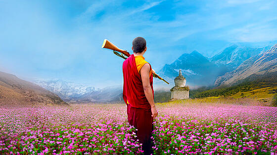 layout image (to proper size of the container)