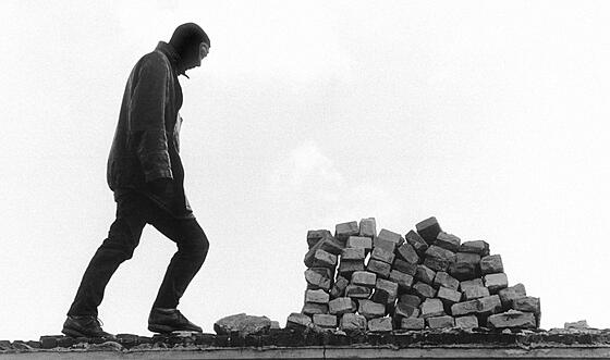 layout image (to proper size of the container)