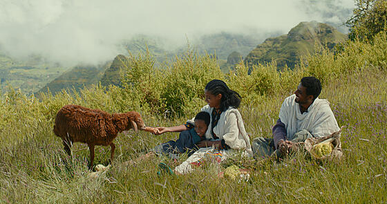 layout image (to proper size of the container)