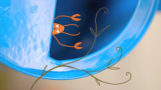 forhåndsvisning af film