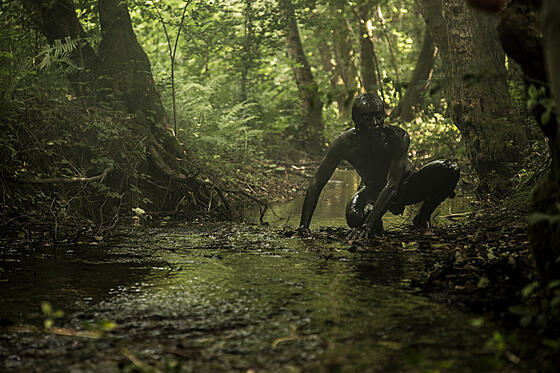 layout image (to proper size of the container)