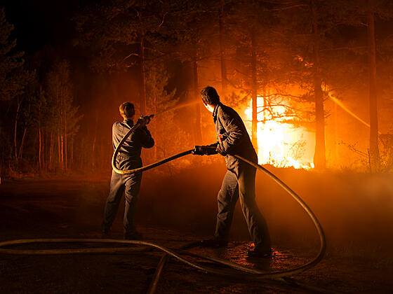 forhåndsvisning af film