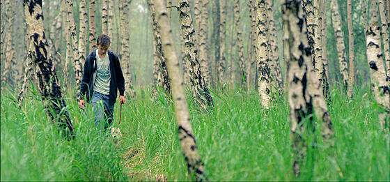 layout image (to proper size of the container)