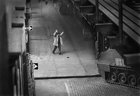 layout image (to proper size of the container)