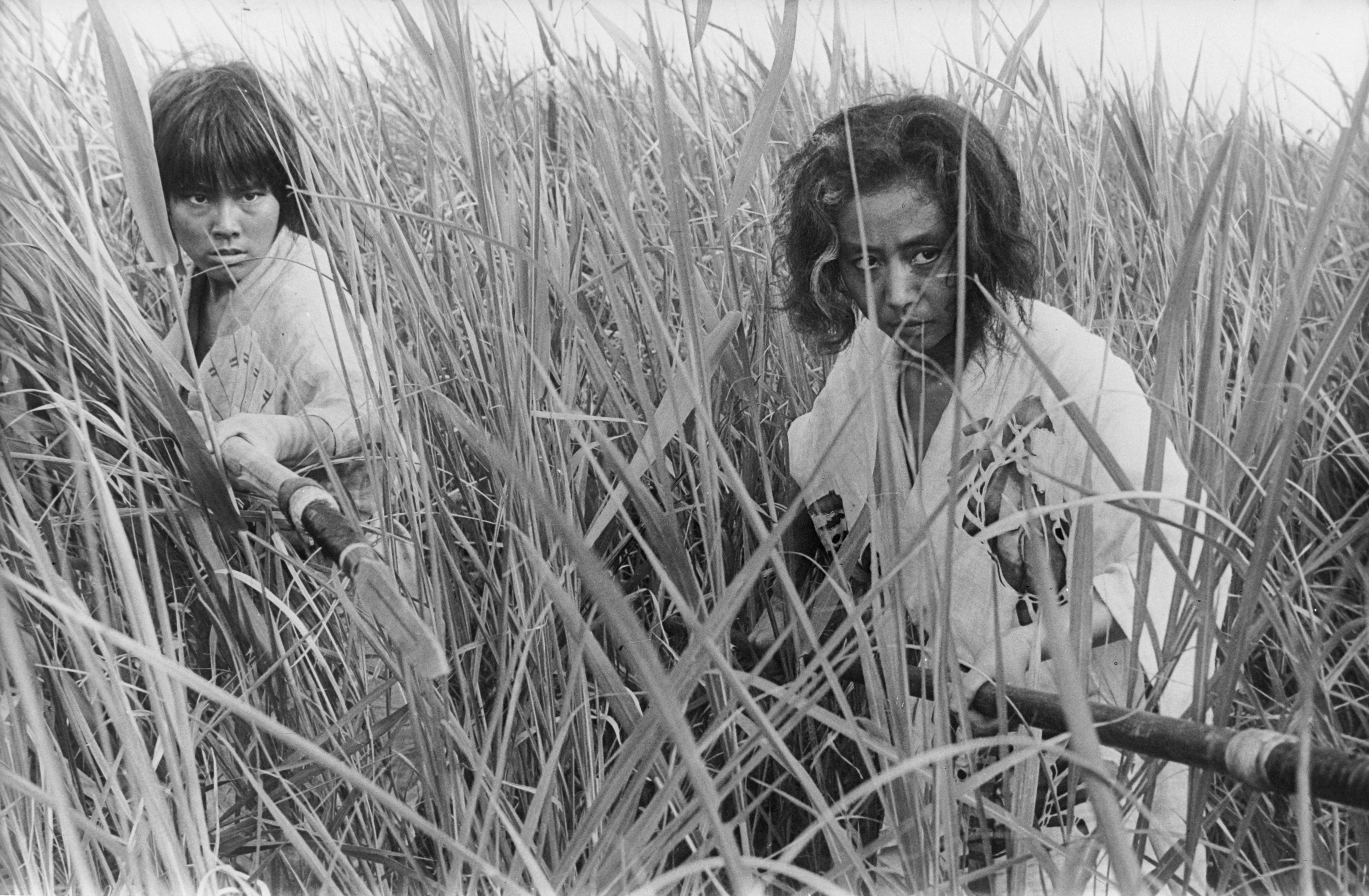 женщина демон 1964. онибаба японская легенда. женщина демон 1964. женщина-демон фильм 1964. онибаба японский фильм.