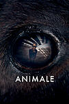 Animale