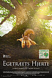 Egetræets hjerte