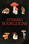 Efterår i Bourgogne