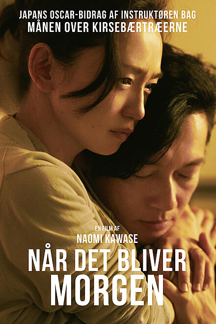 layout image (to proper size of the container)