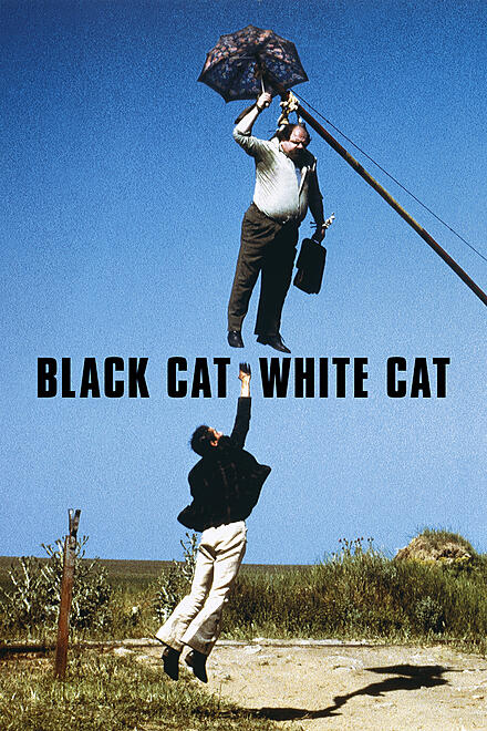 layout image (to proper size of the container)