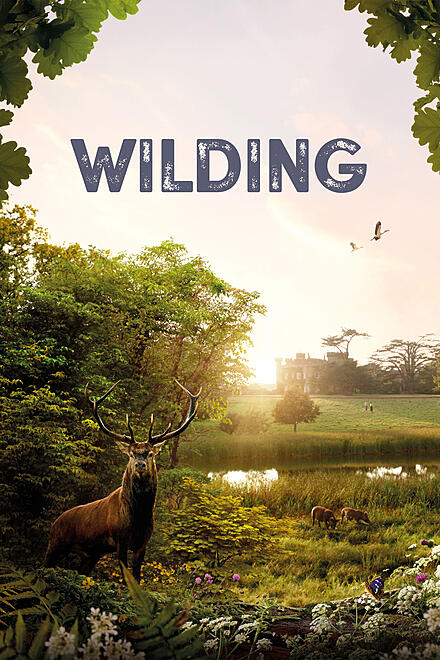 layout image (to proper size of the container)