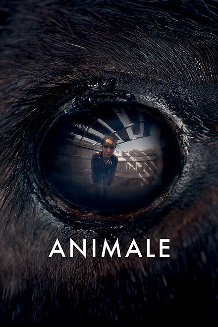 layout image (to proper size of the container)