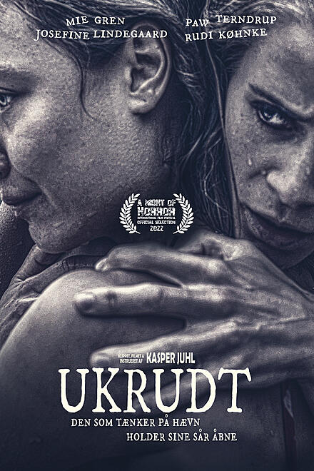 layout image (to proper size of the container)