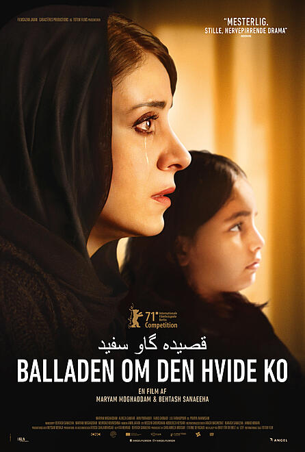 layout image (to proper size of the container)