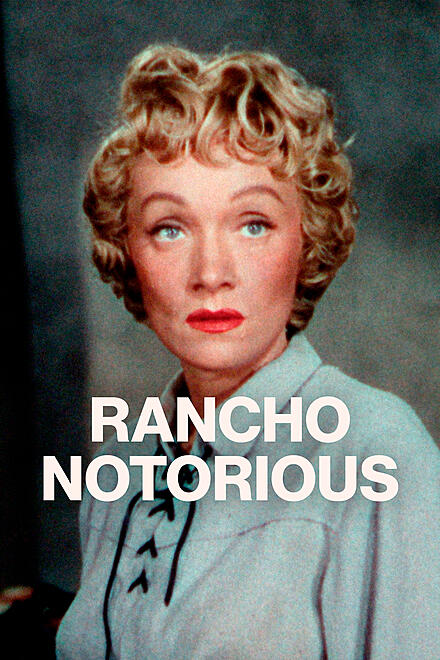 layout image (to proper size of the container)