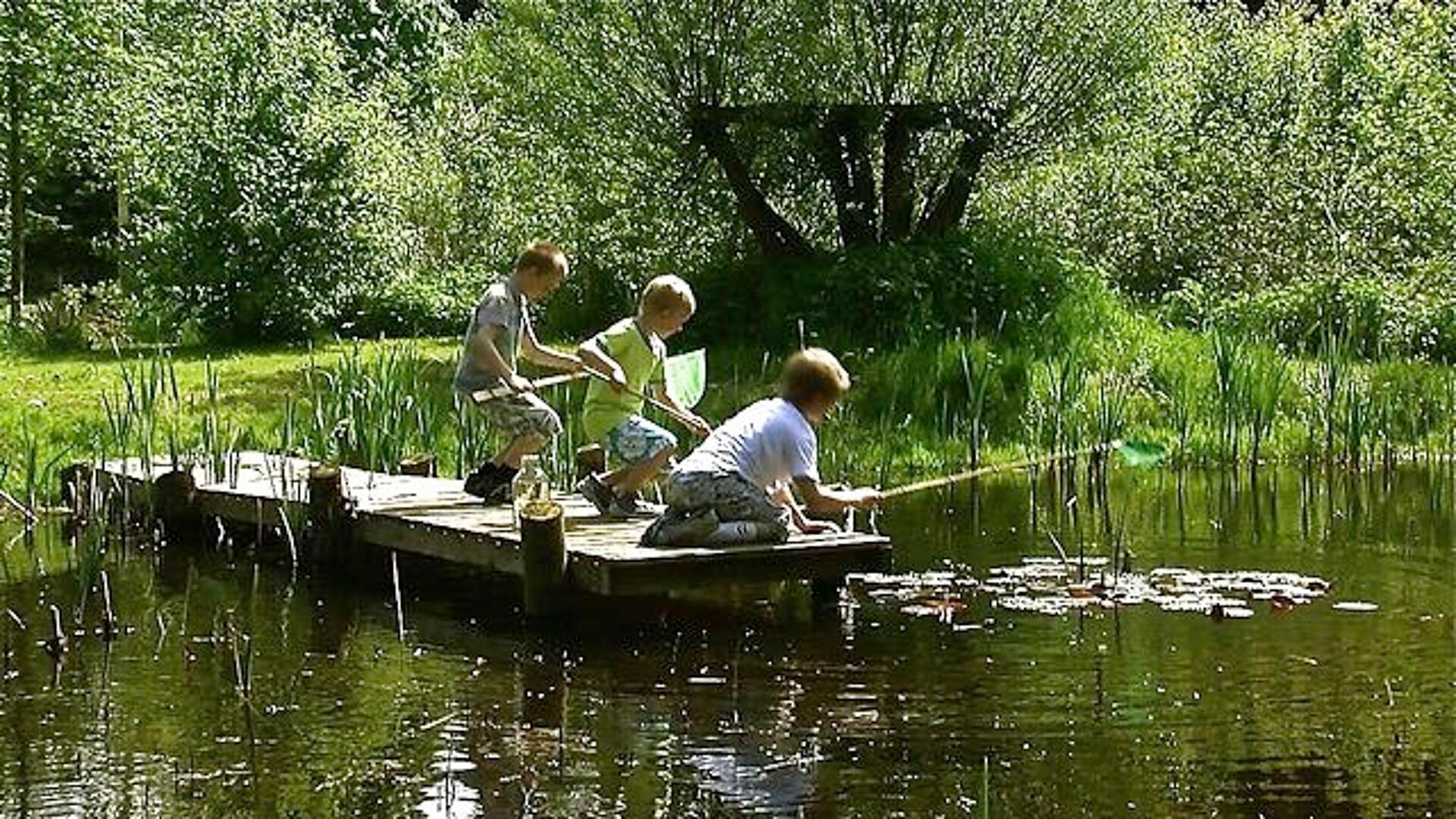 De små vilde 3:4 - Forår