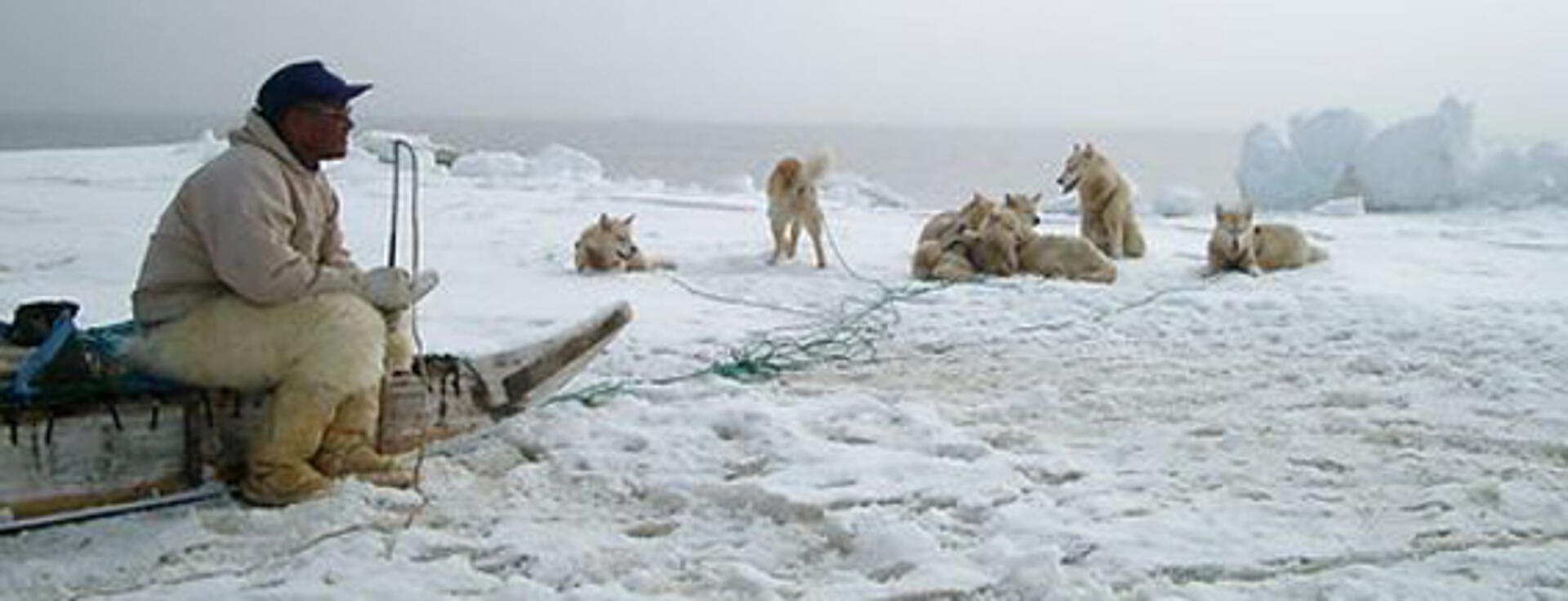 Hingitaq - de fordrevne