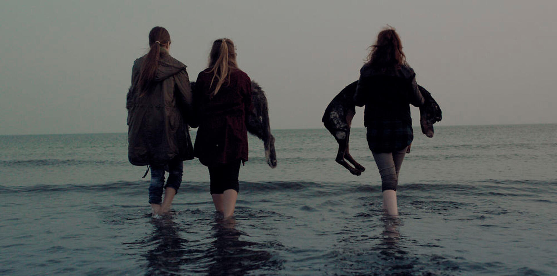 The girl and the Dogs