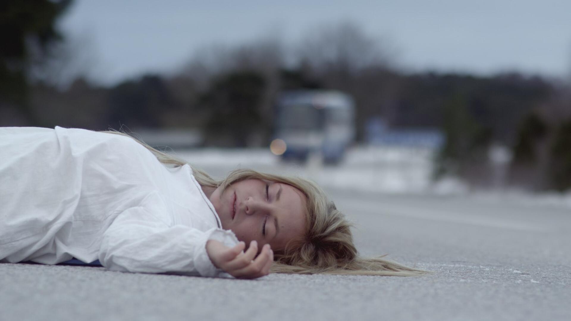 Maria Wern, 3 - snedrømme