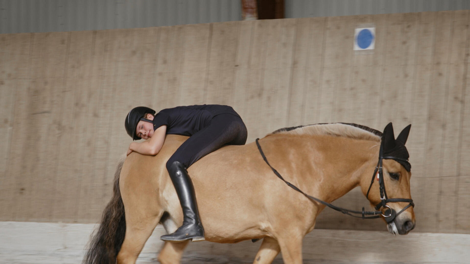 Ponylove - Mod og mørke