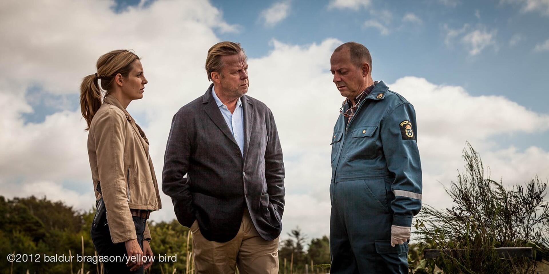 Bedraget, Wallander 29