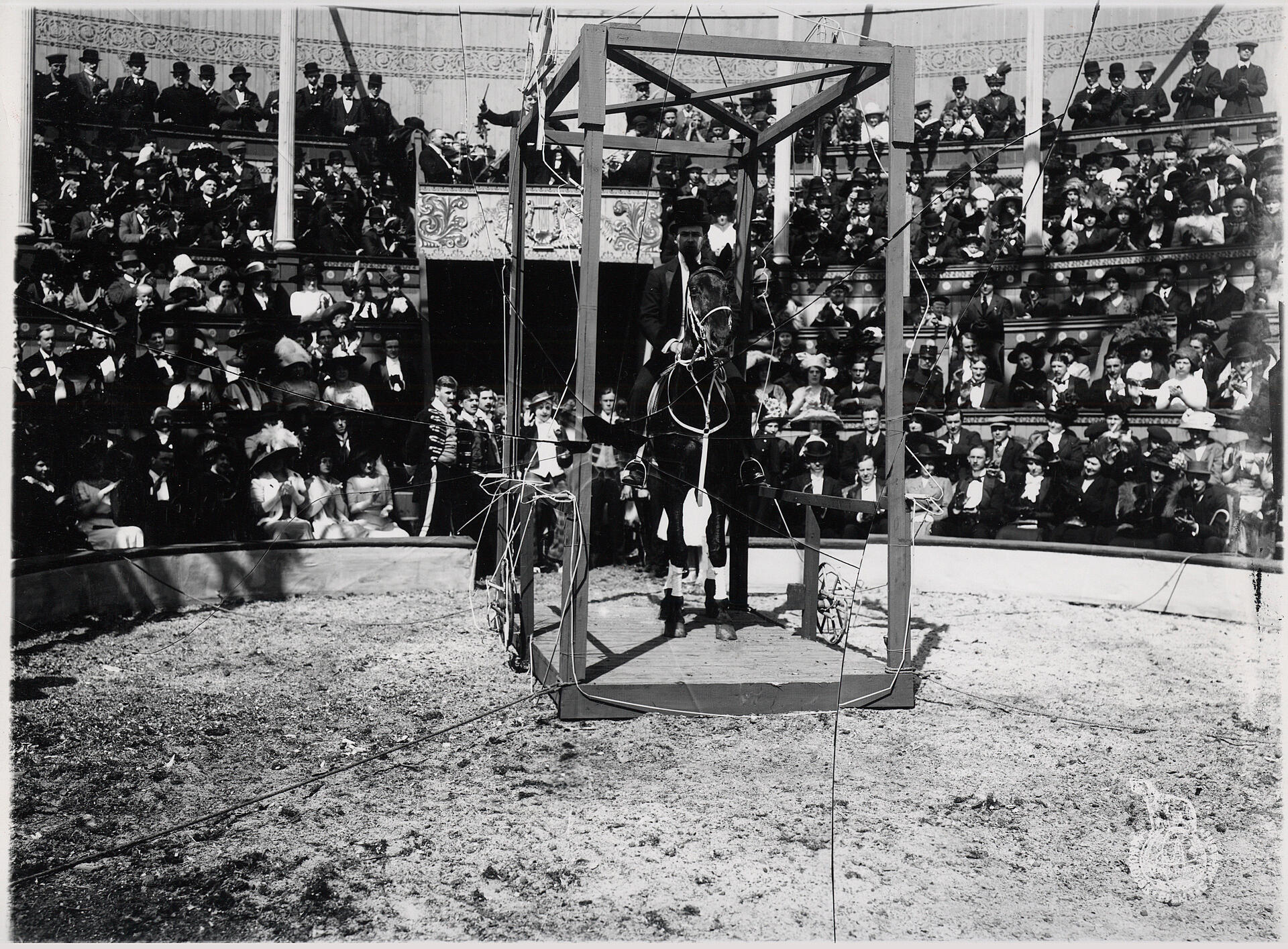 Dødsspring til hest fra circuskuplen